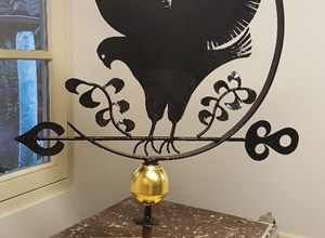 1_20170614_214050.jpg